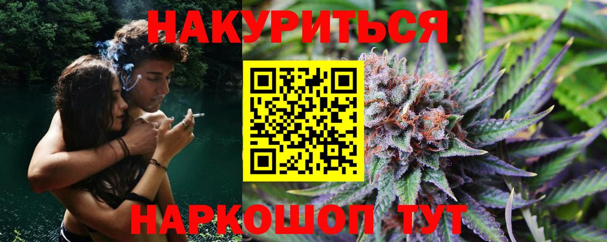 Бошки марихуана сатива Гусь-Хрустальный